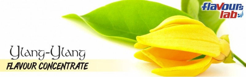 Ylang-Ylang Flavour Concentrate